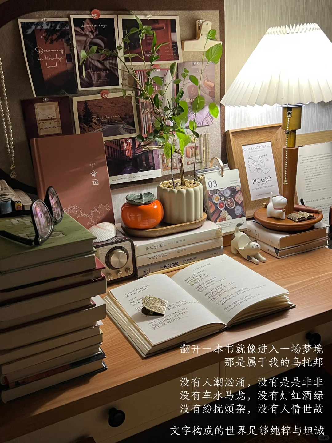 读书是一场短暂的快乐出逃
