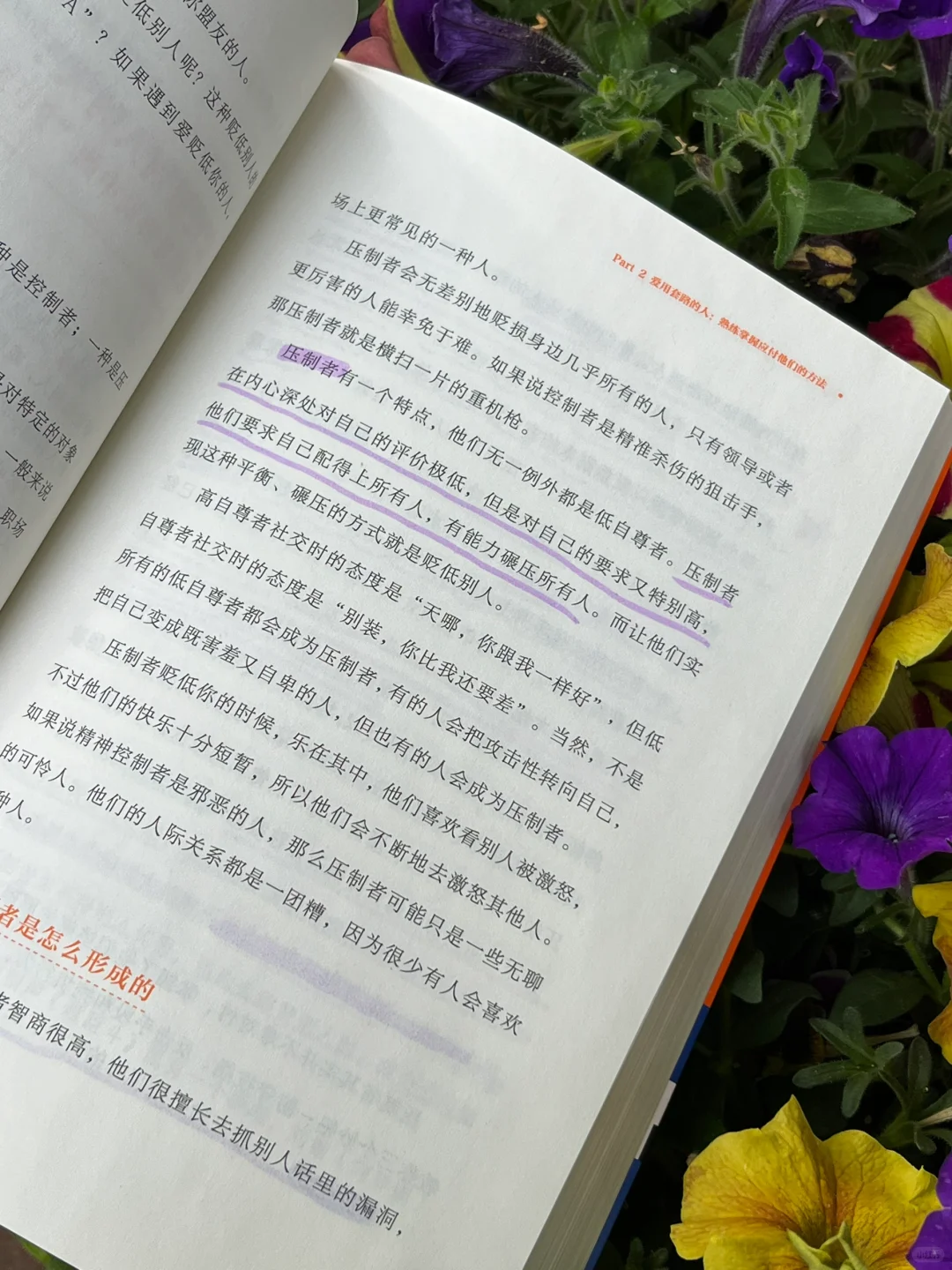 识人攻略🔥让人少走弯路的30个职场锦囊