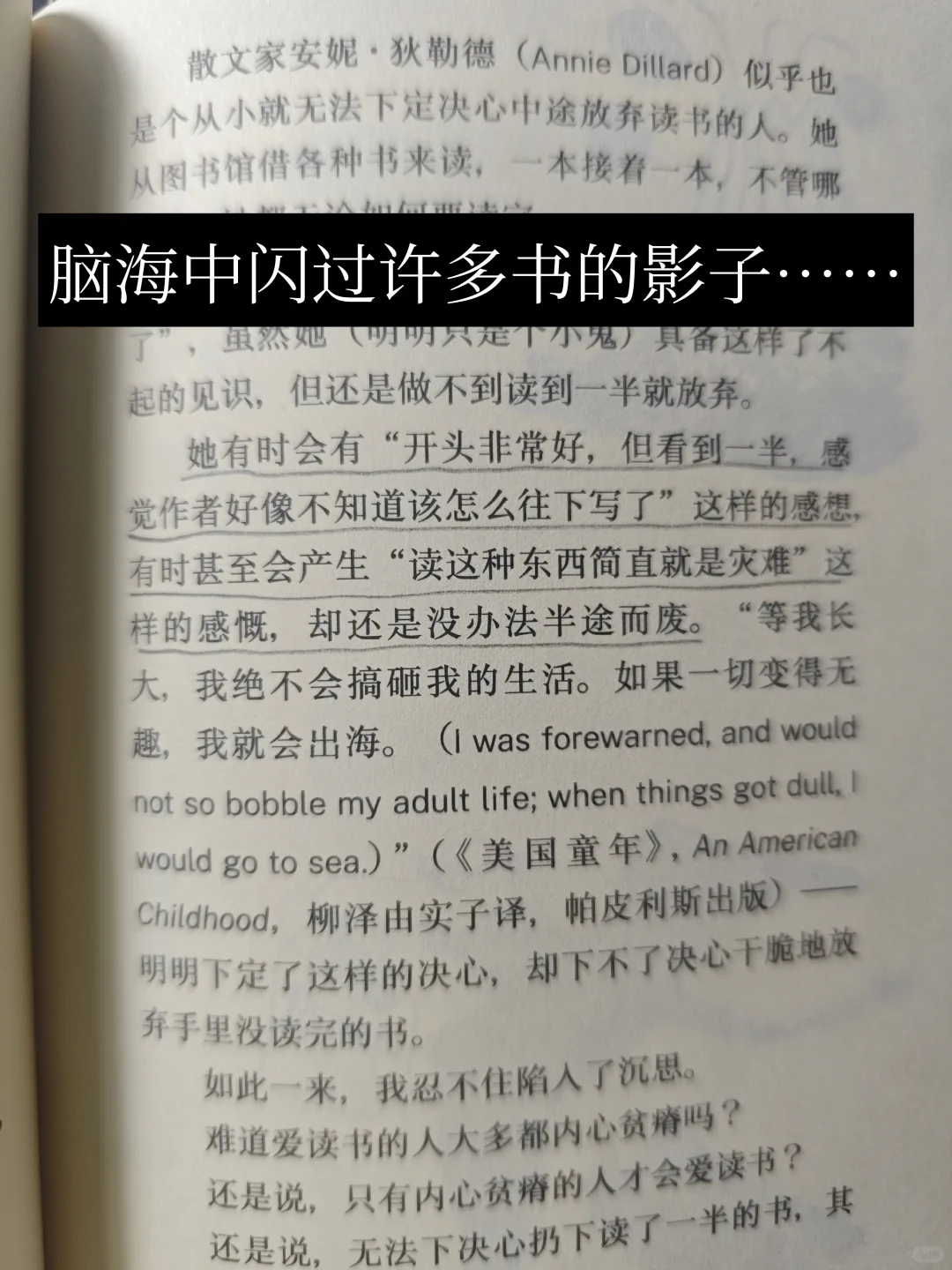📖读后感|《书怎么读都有趣》
