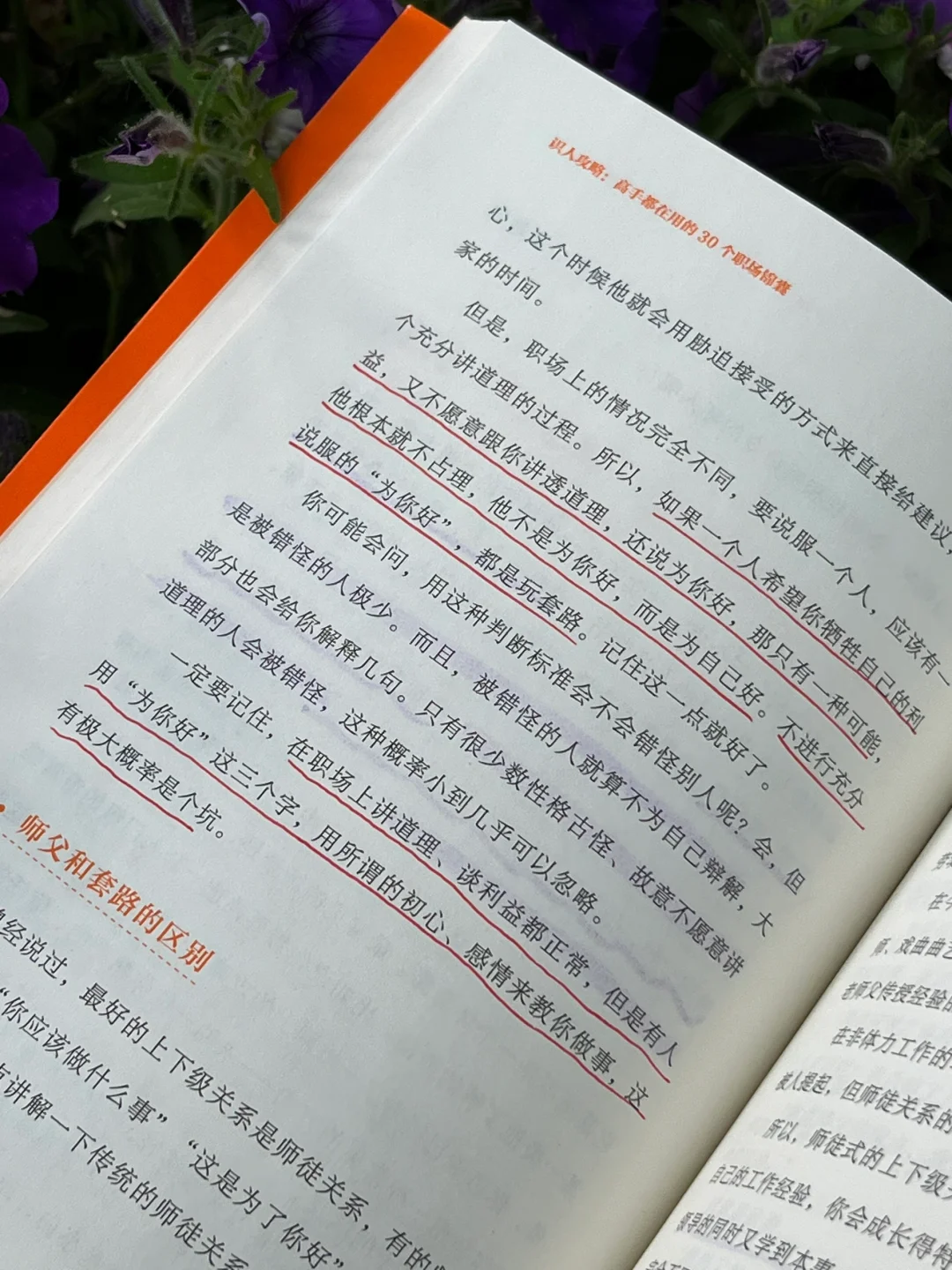 识人攻略🔥让人少走弯路的30个职场锦囊