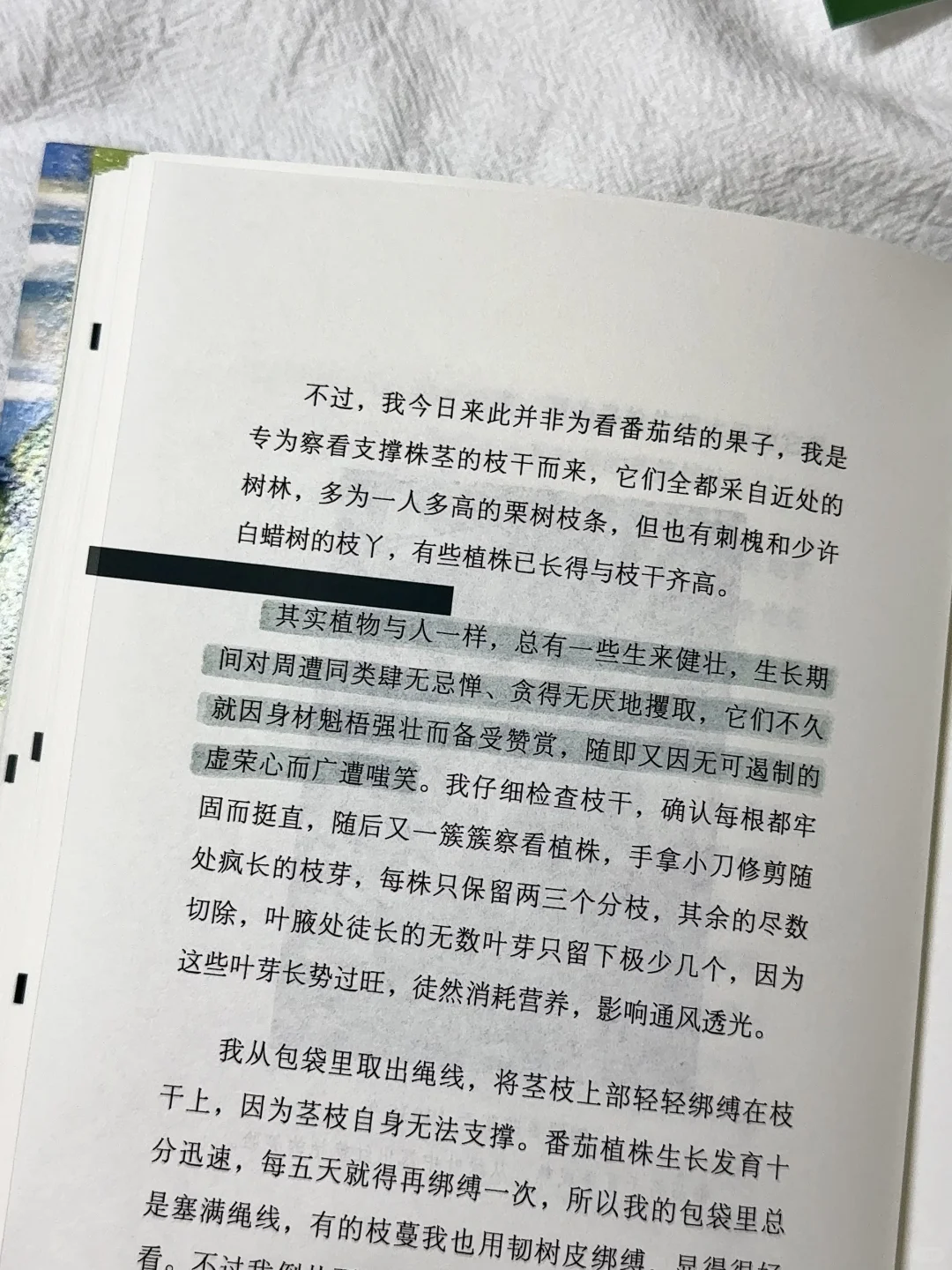 在植物和泥土里，听自由的风。