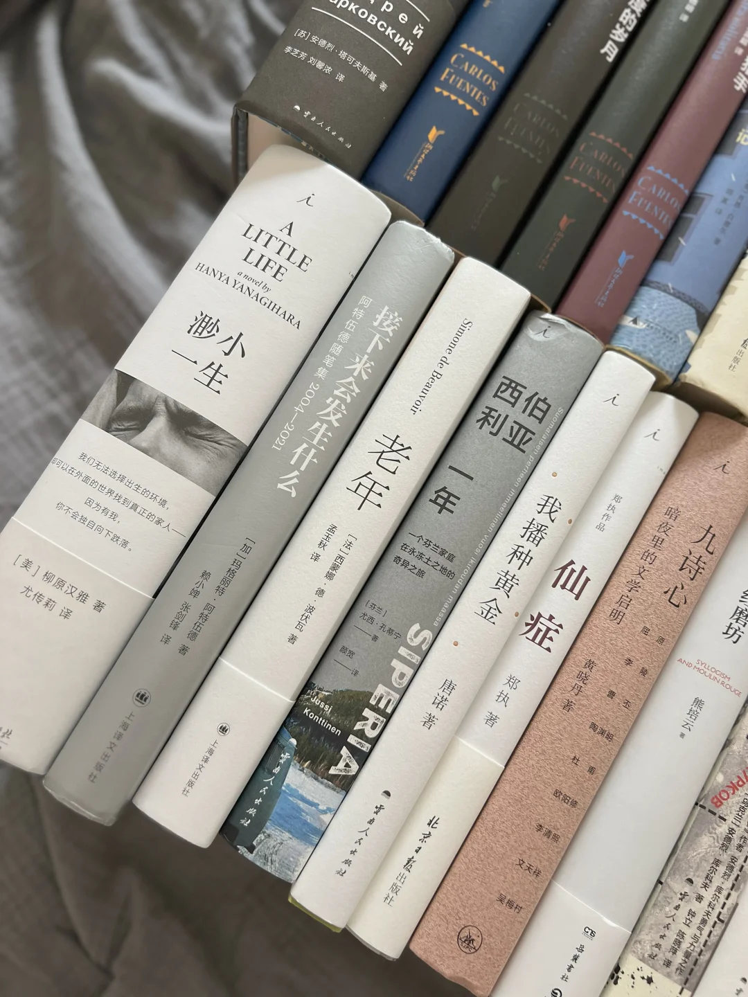◻️ 宅家书单 | 阅读让我低着头，却在向上看