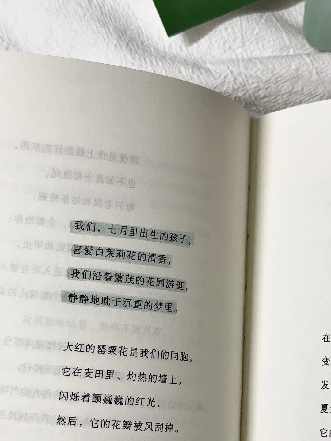 在植物和泥土里，听自由的风。