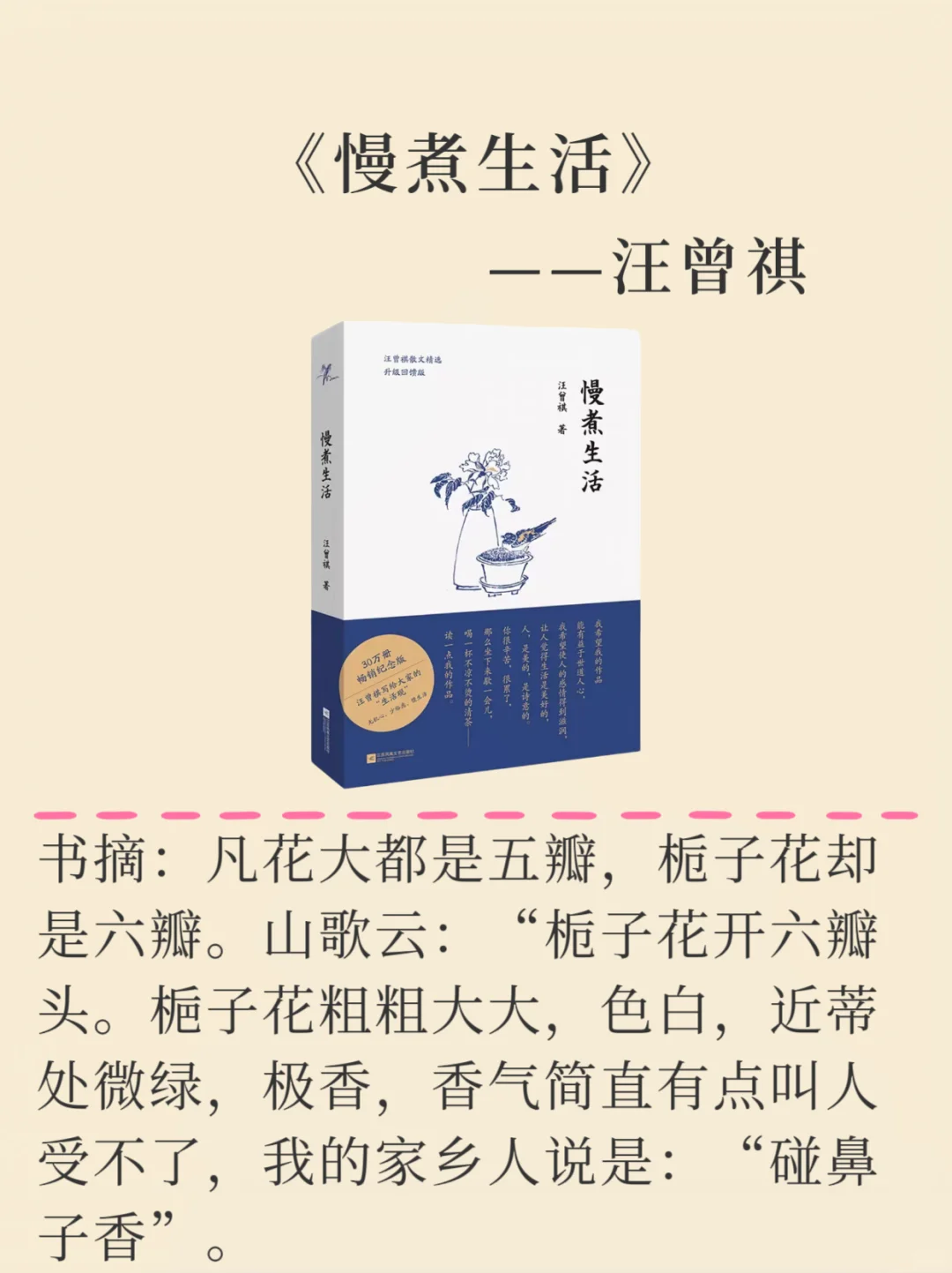 解压、治愈系书单，12本书拯救不开心！