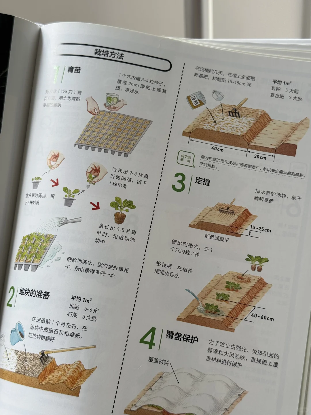 边吃饭边看书，不健康但很快乐