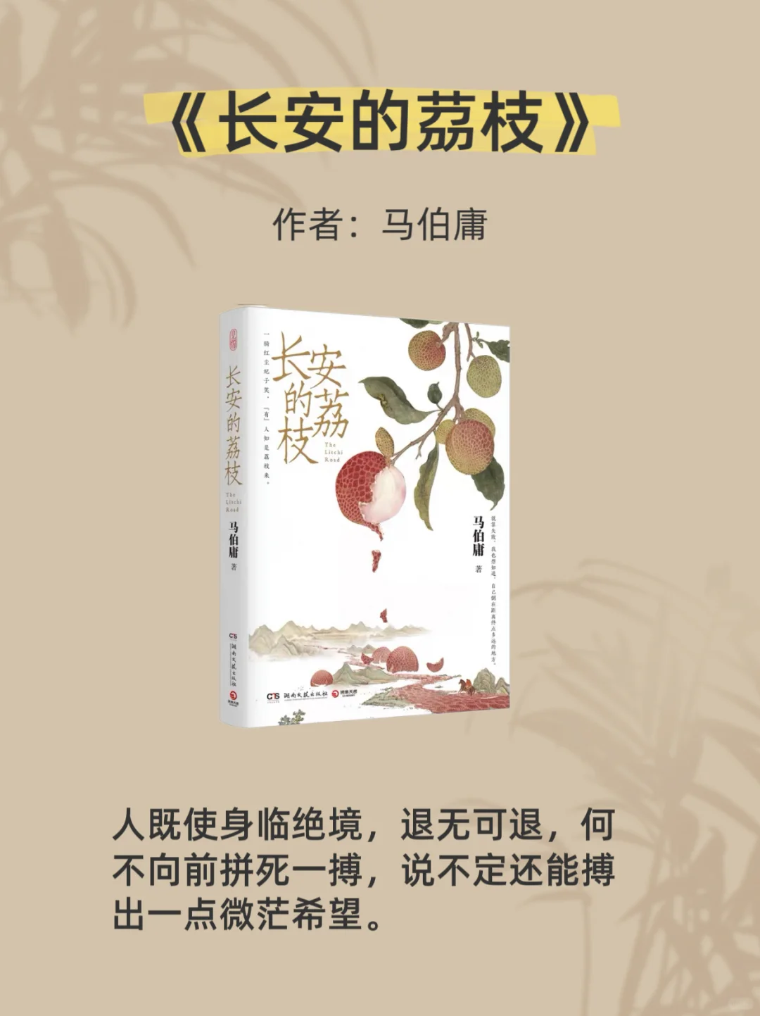 2025推荐好书，读完脑子真的会变快！