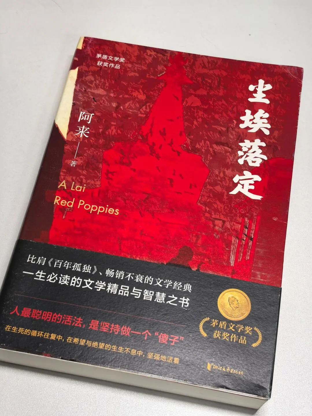 震撼了，不愧是茅盾文学奖获奖作品！