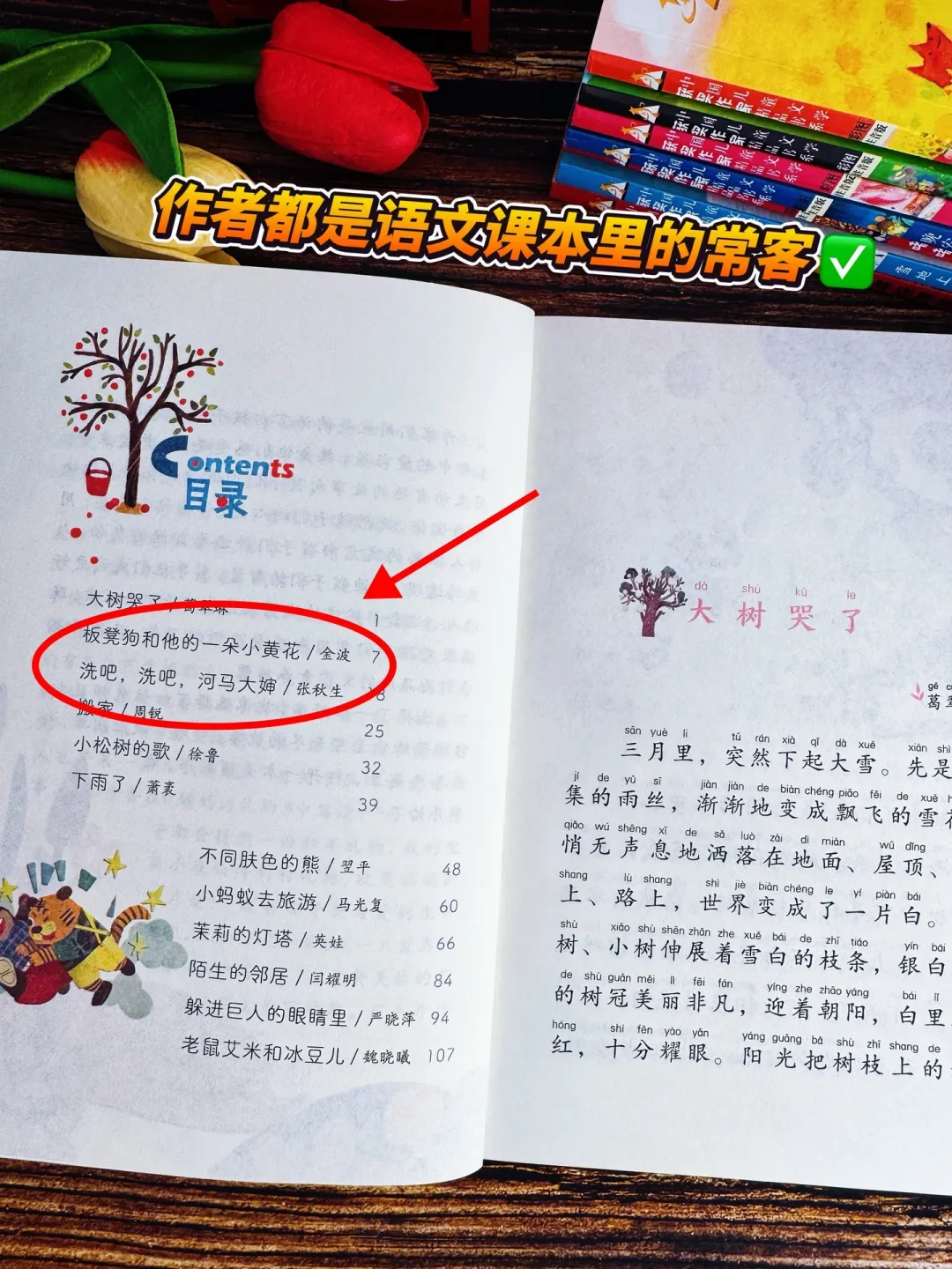 中国当代儿童文学获奖作家精品书系