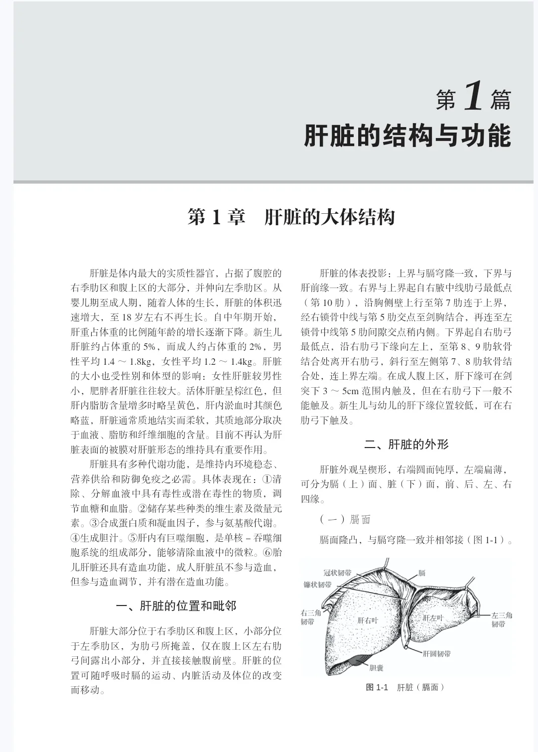 王宝恩肝脏病学第二版pdf电子书下载
