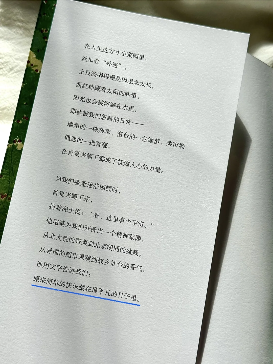 一眼沦陷🌿怎么会有这么治愈的书啊！！