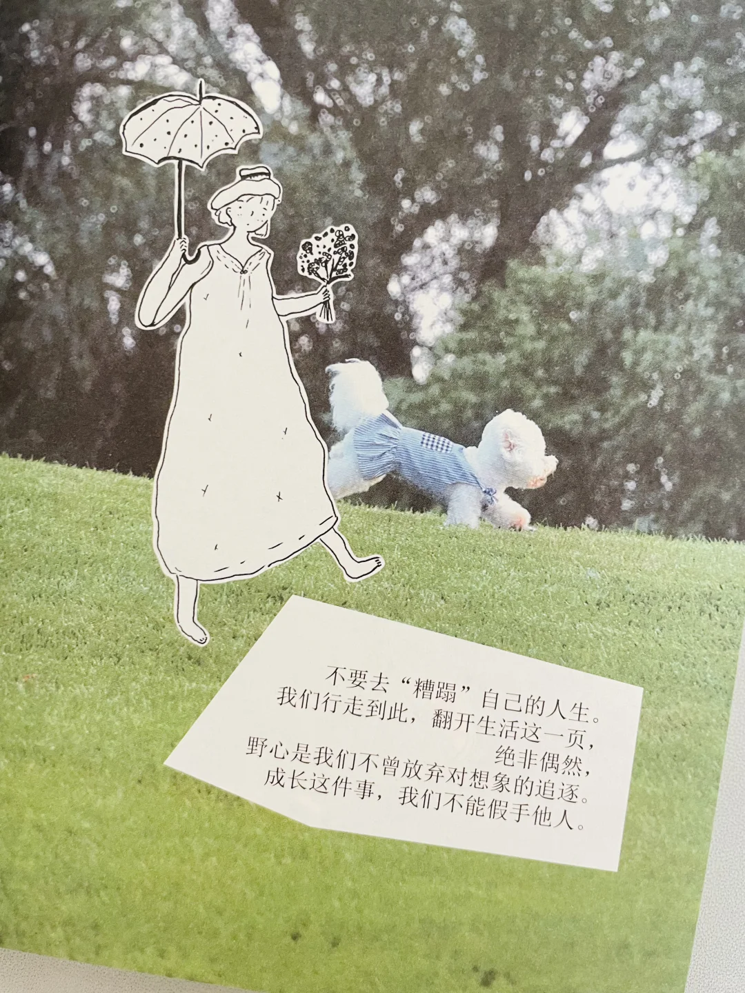 太后悔了😭如果能在20岁读到这本书该多啊❕