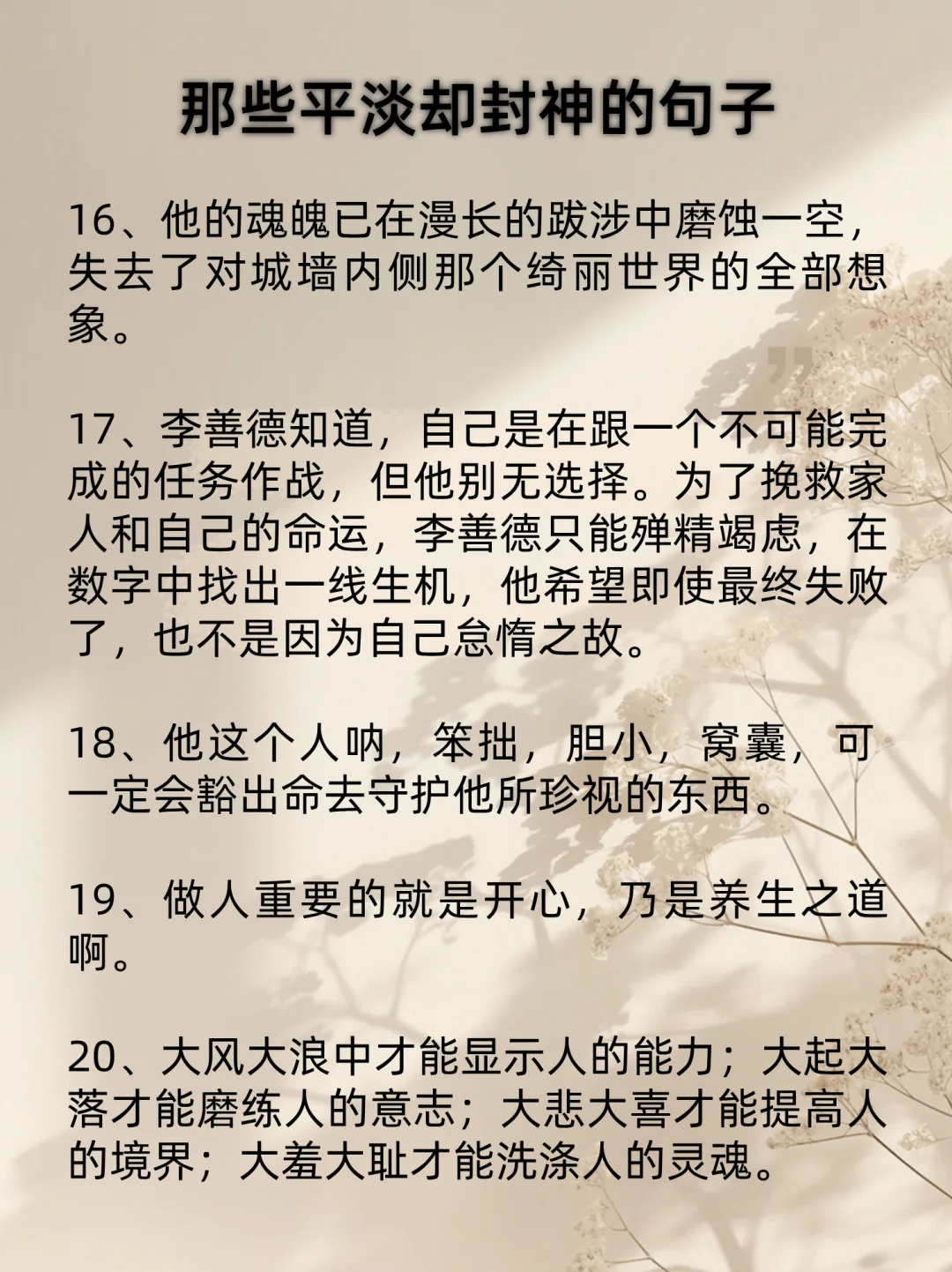央视推荐🔥每一句都值得你反复阅读的神作