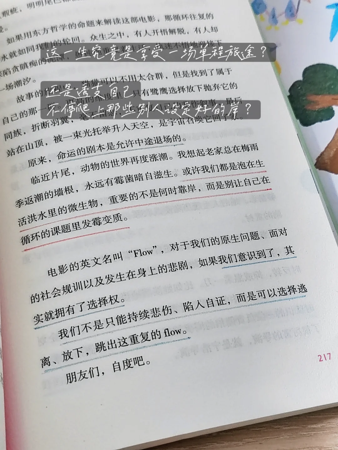 你的每一天都是人生限定。