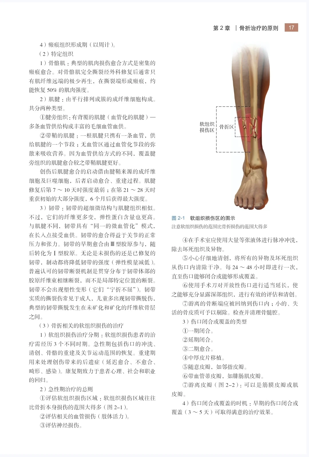 创伤骨科学精要原书第二版pdf电子书下载