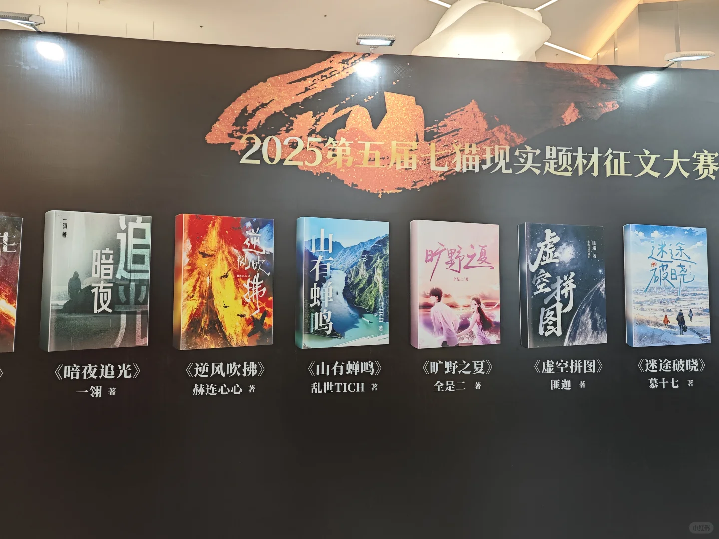 获第五届七猫现实题材征文大赛最具IP价值奖