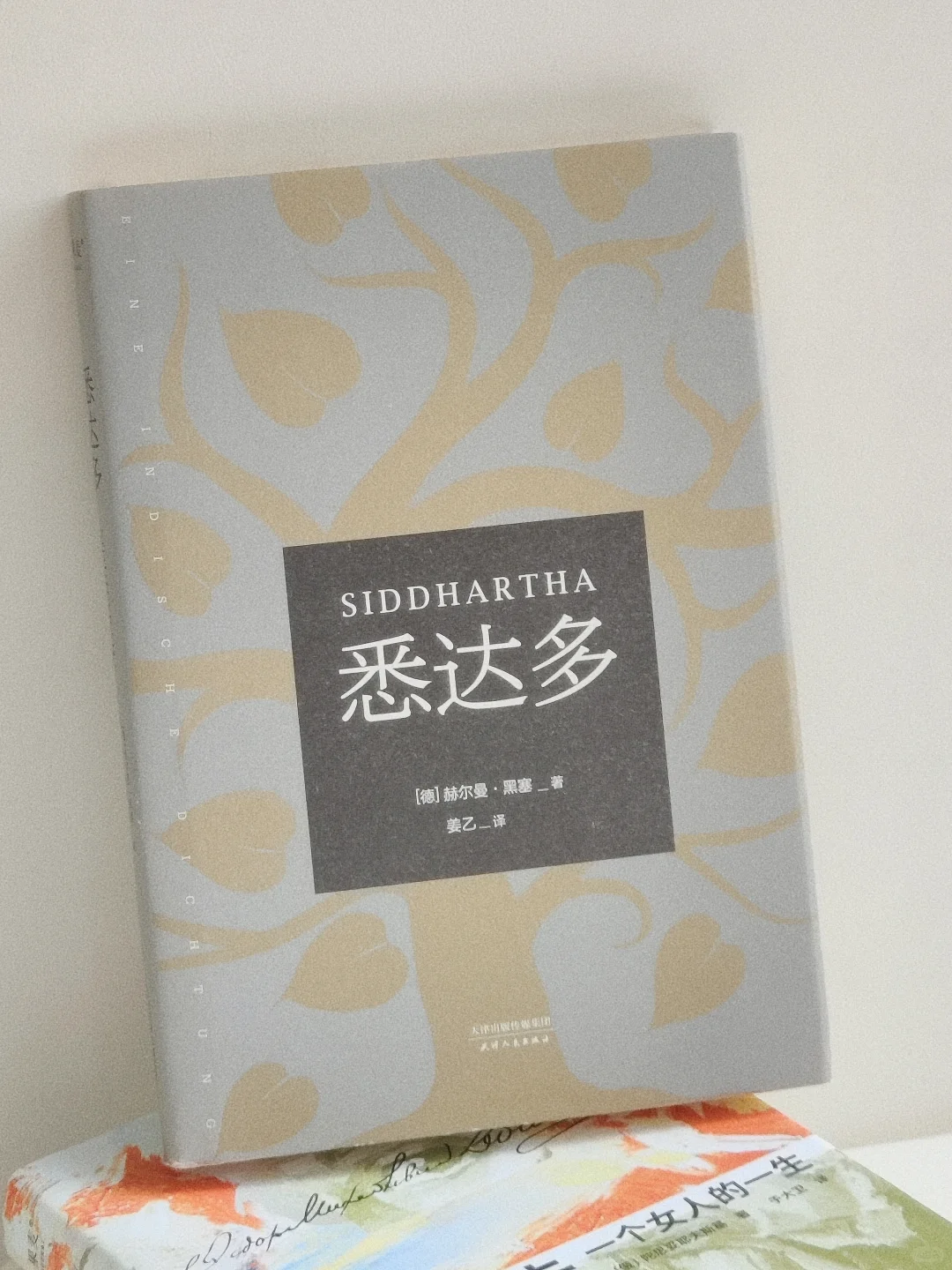 假期八天准备读