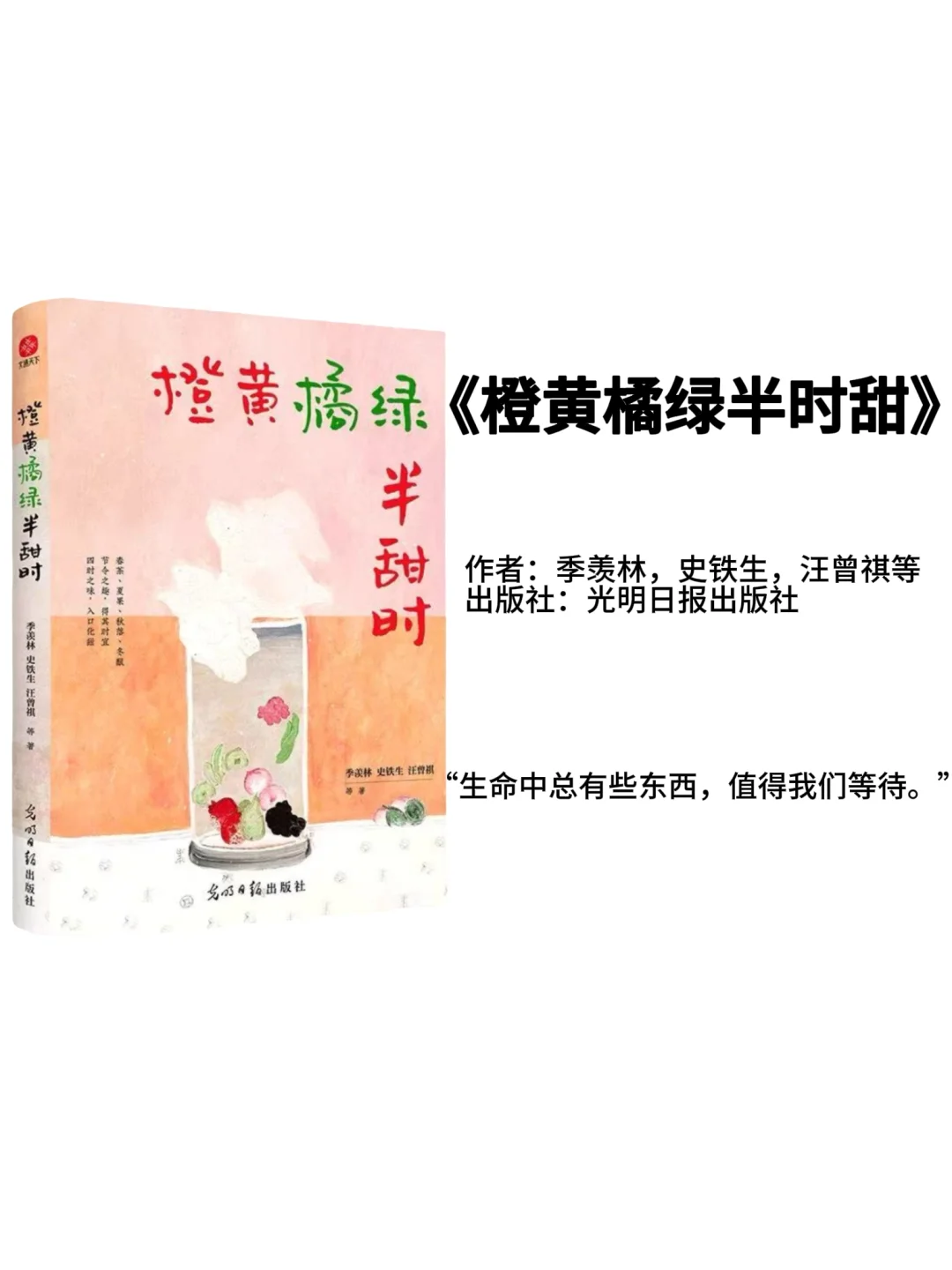 《2025年，这6本书值得你深度阅读》