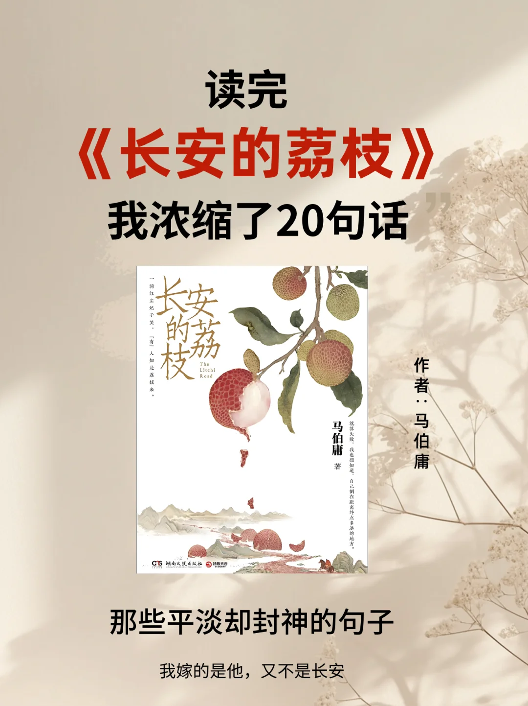 央视推荐🔥每一句都值得你反复阅读的神作