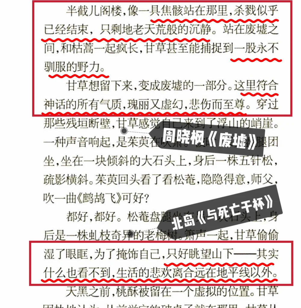 阿占与周晓枫、北岛异曲同工之妙👀