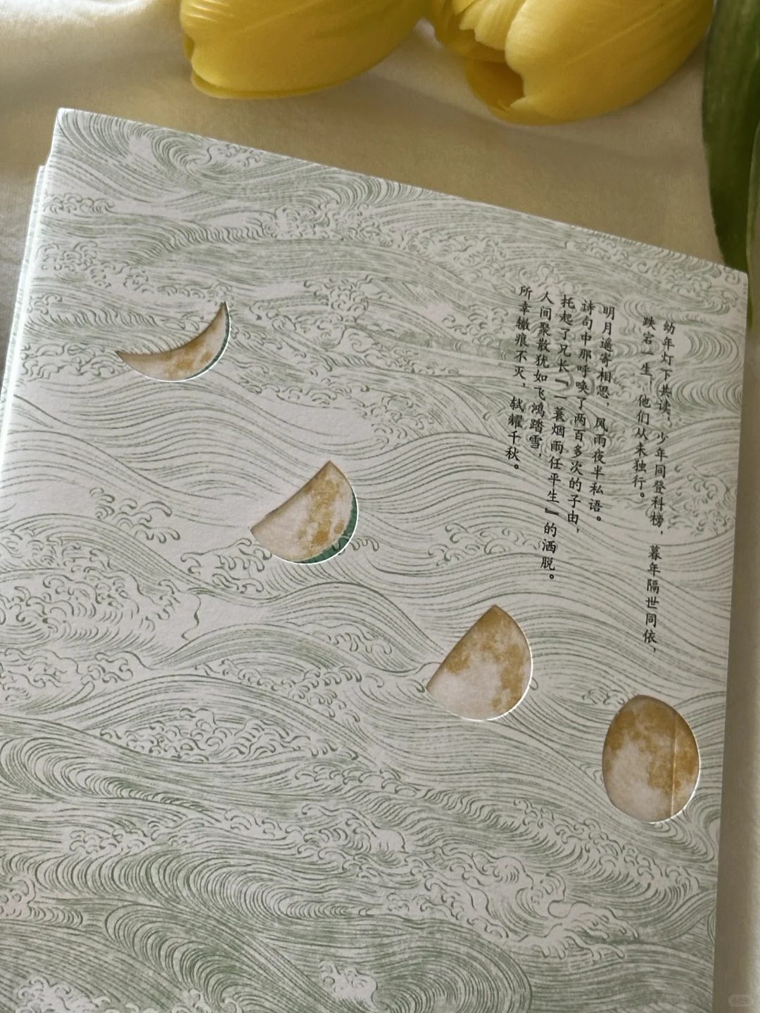 一眼爱上🍃这本书真的太太太美了！！