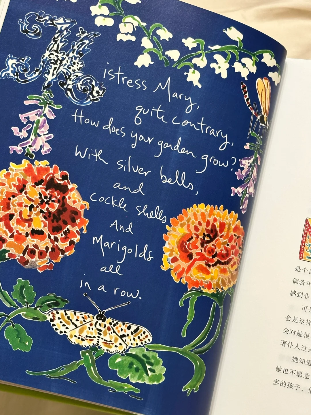 这是我今年目前为止，读到第一本被美哭的书。