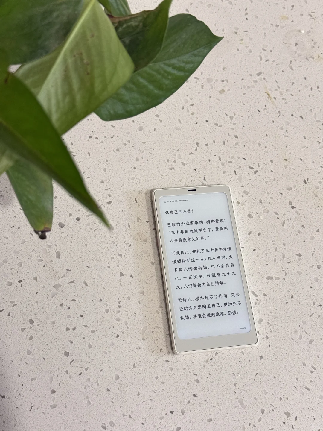 跟着Papi酱买的小白马，快速回本中~
