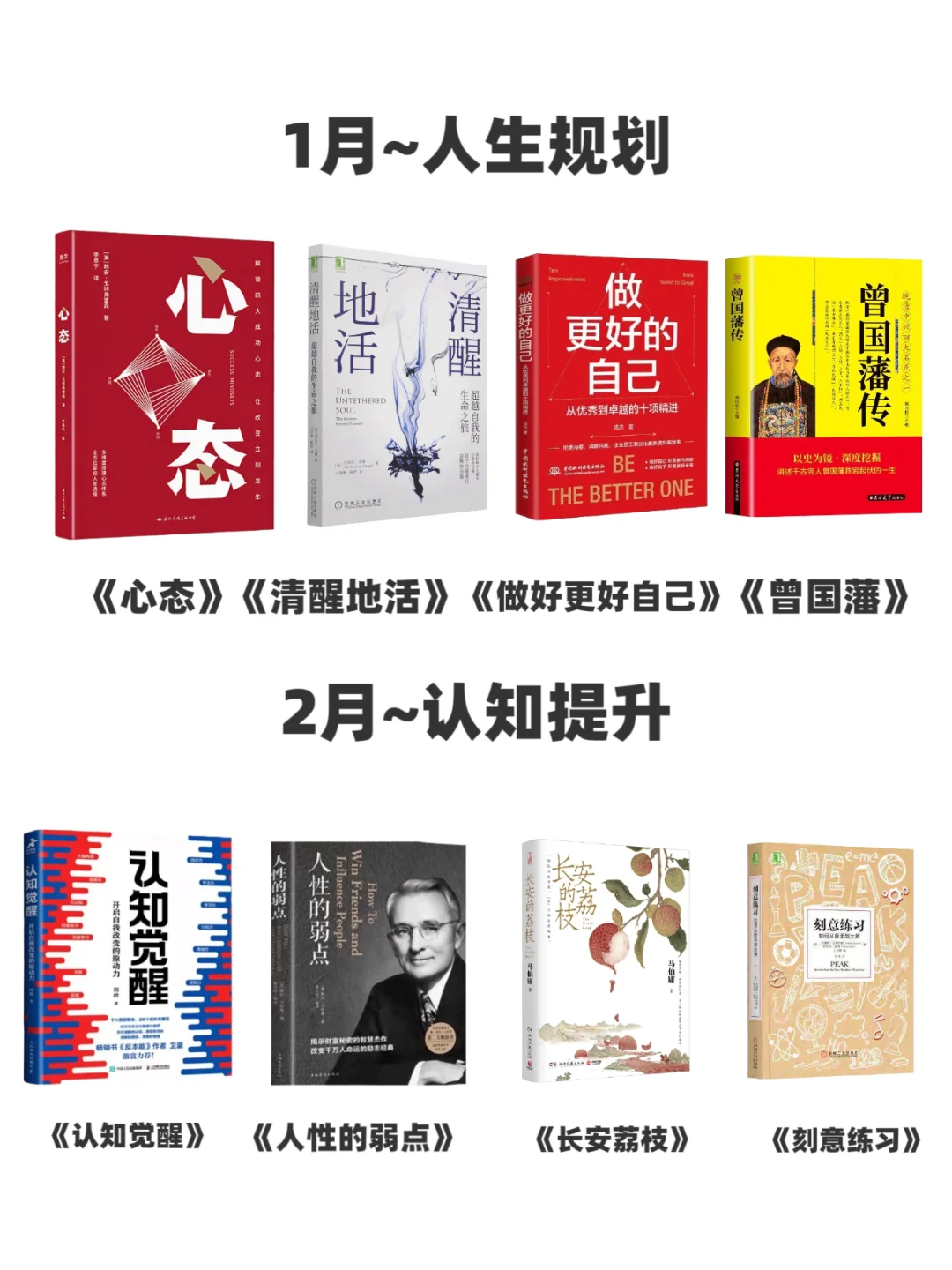 📚 书海漫游：我的私人书单分享