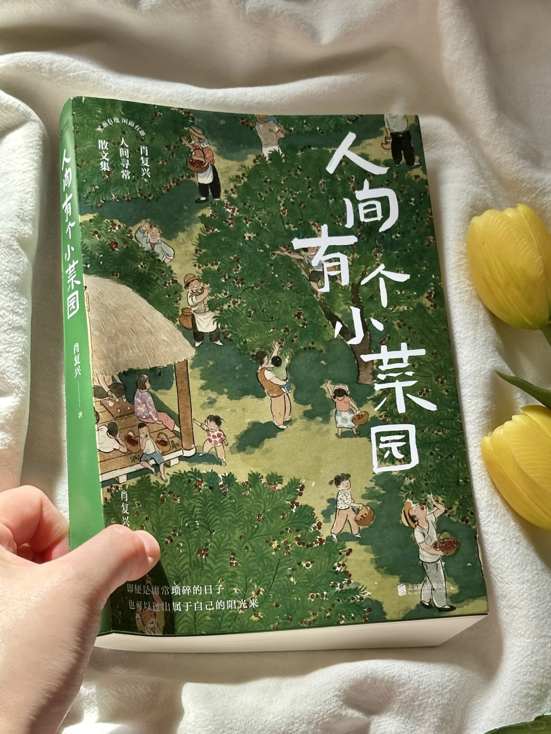 一眼沦陷🌿怎么会有这么治愈的书啊！！