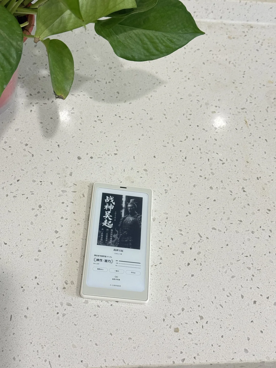 跟着Papi酱买的小白马，快速回本中~