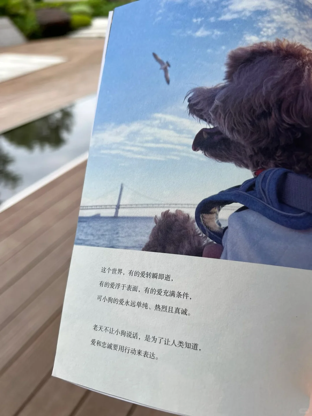 低谷期被这本书治愈到了❗我太太太爱了💗