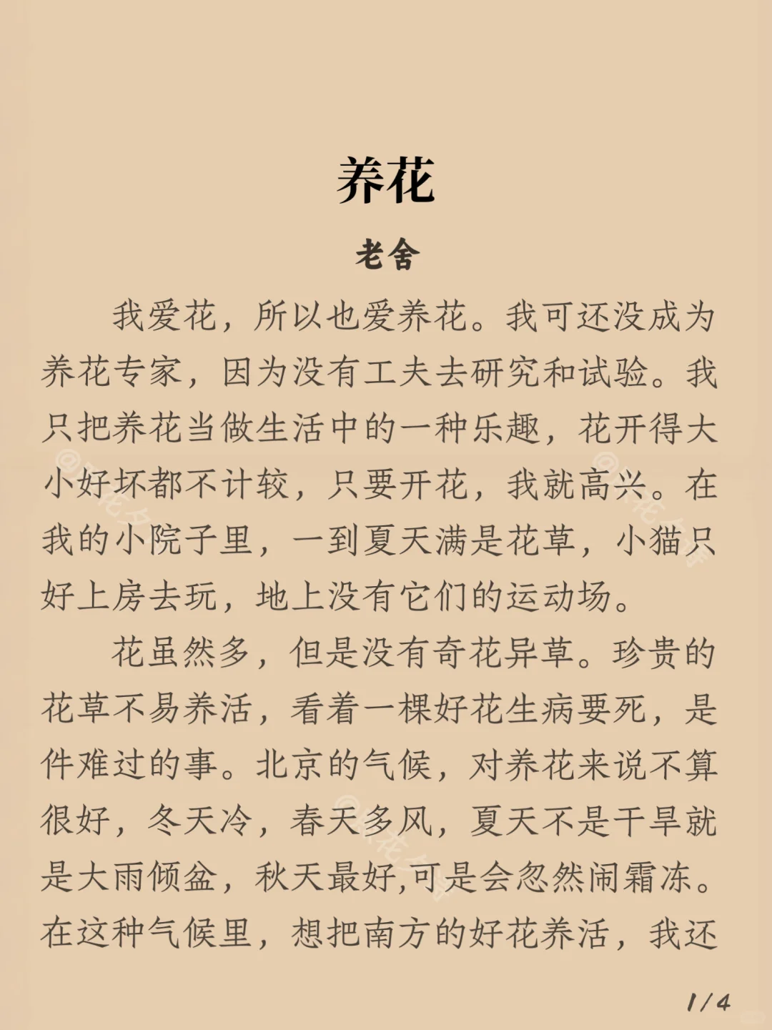 每日阅读之《养花》-老舍