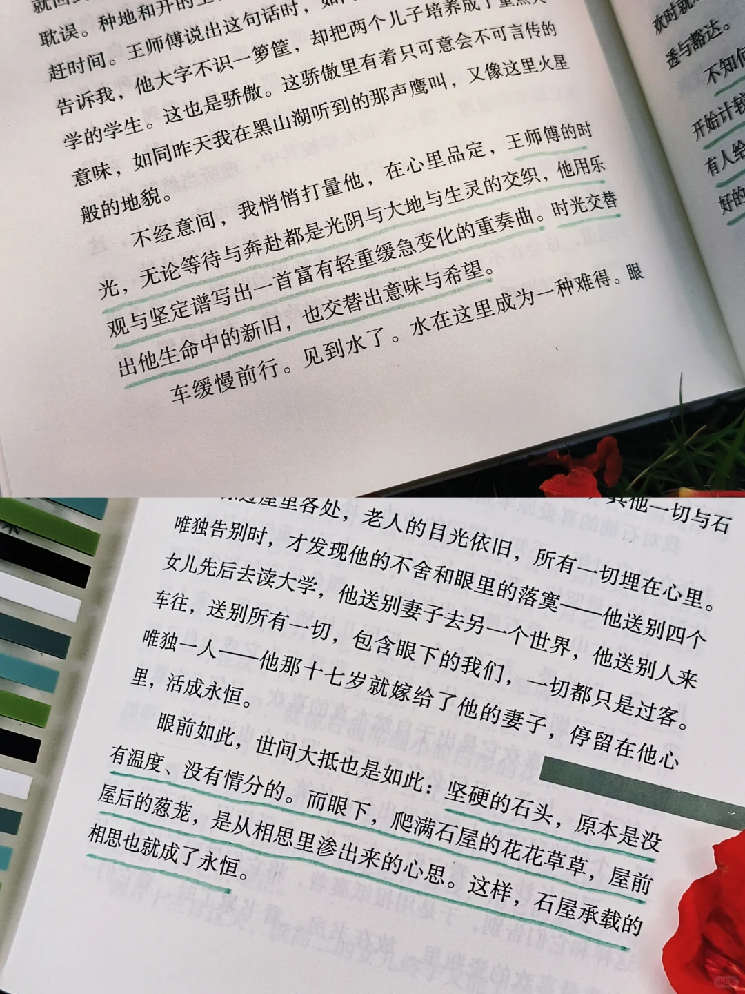 人生是旷野，“去爱，去生活，去受伤”