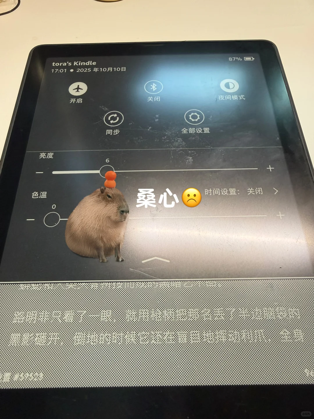 ✨Kindle划痕修复｜💰低成本拯救破碎感！！