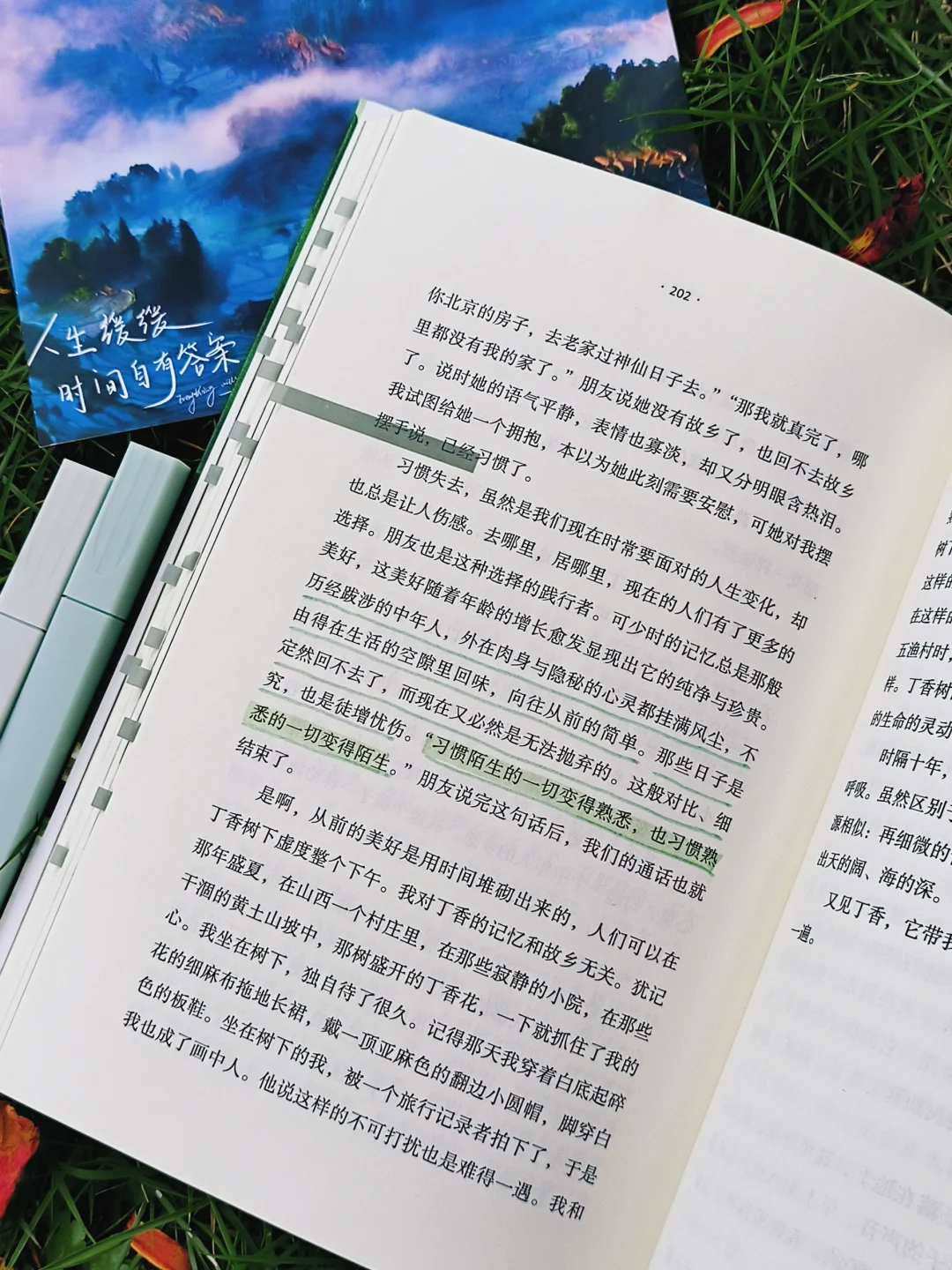 人生是旷野，“去爱，去生活，去受伤”