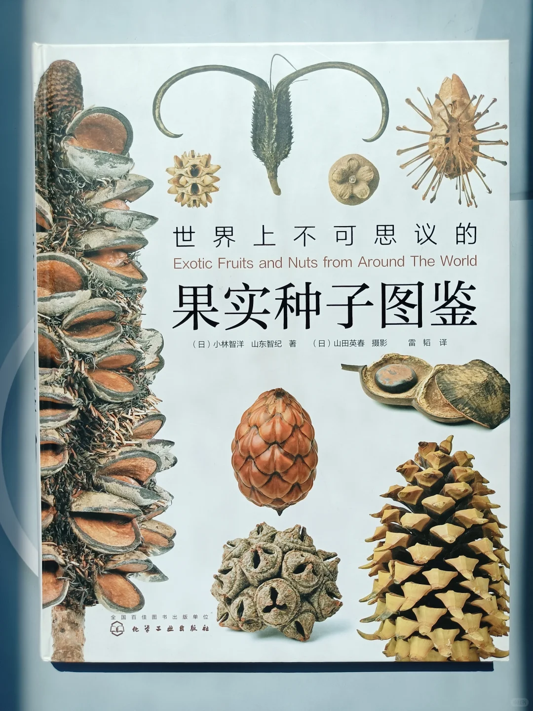 一本震撼人心的视觉图鉴✨✨