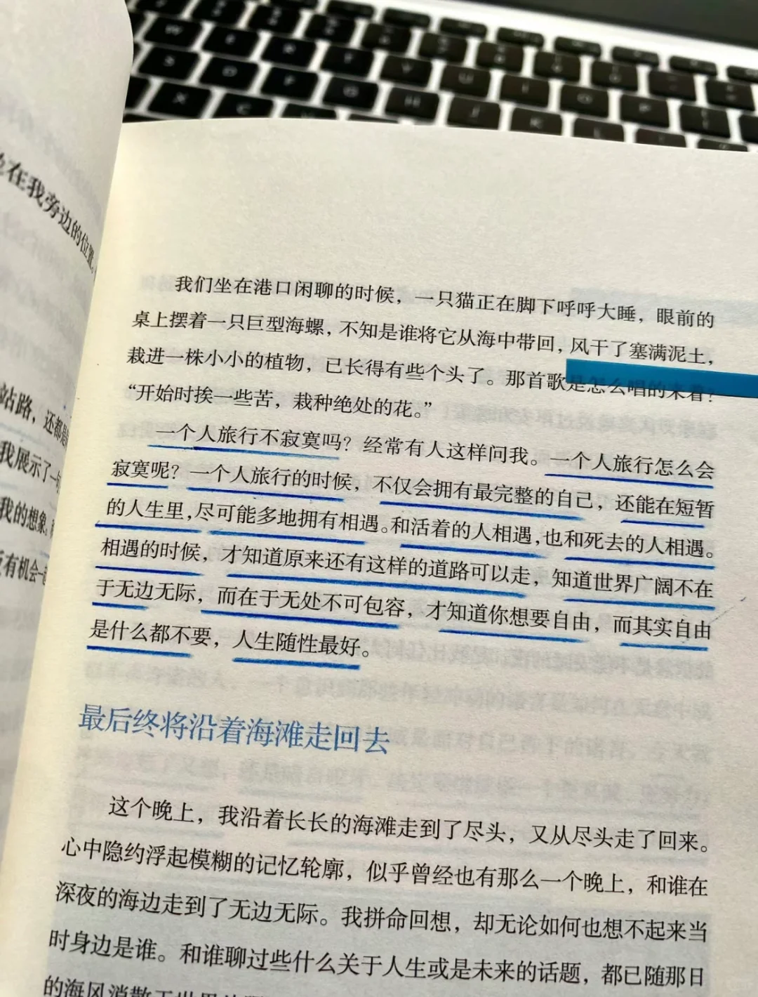 “自由也许是我不想拥有海，我想成为海”