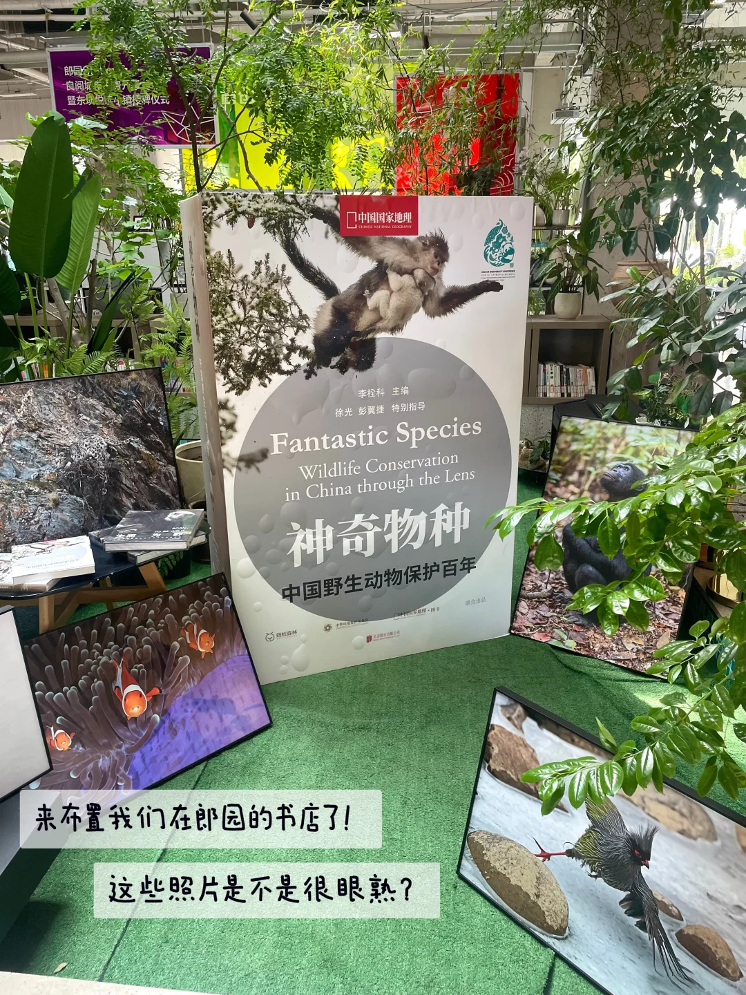 编辑部日常 | 忙碌中进入放假倒计时⏱
