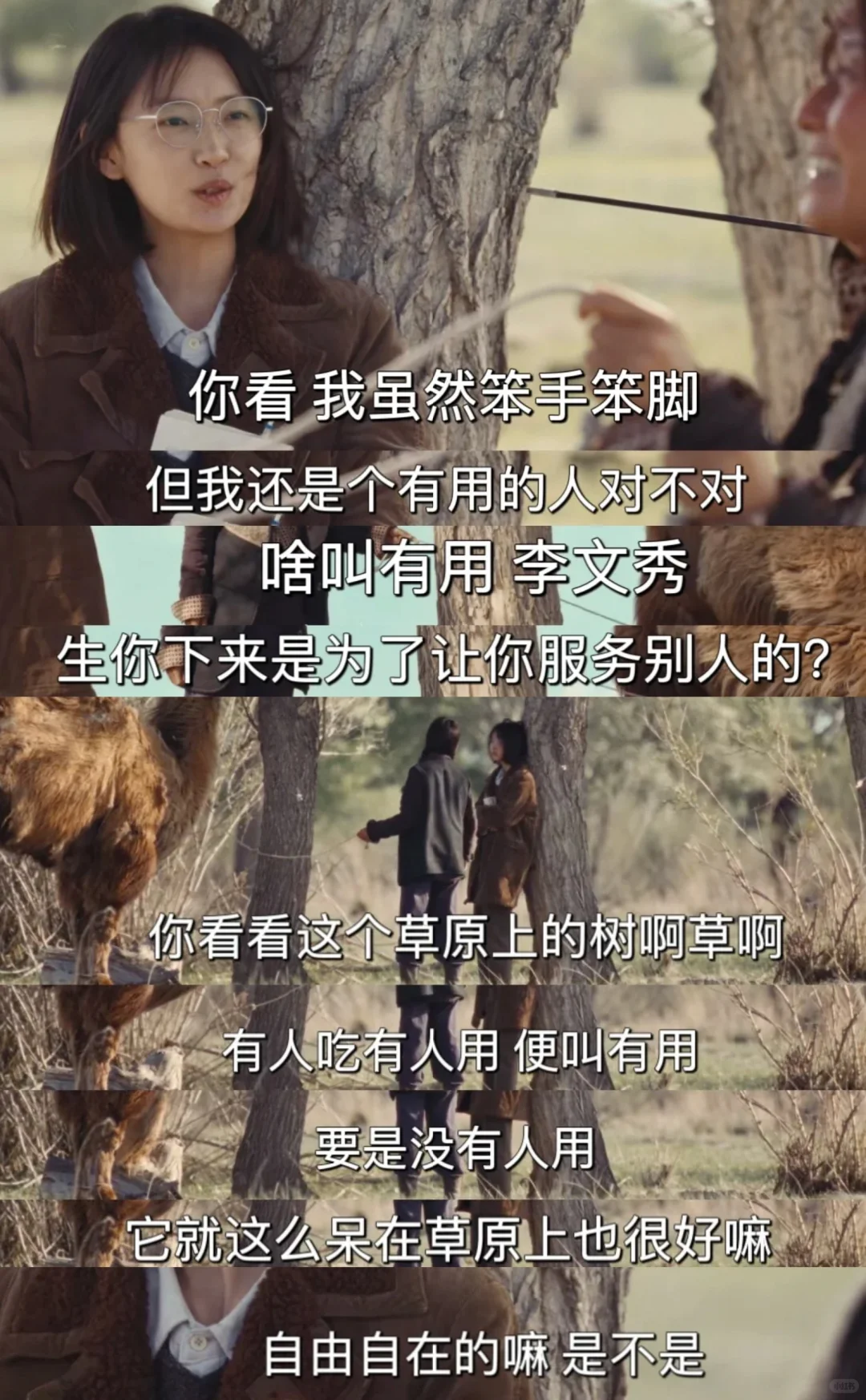 人生是旷野，“去爱，去生活，去受伤”