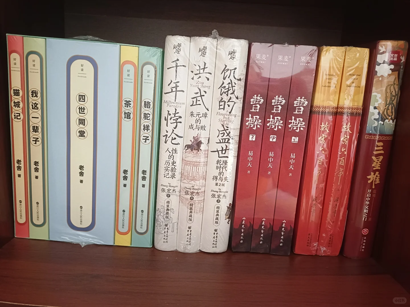 书香四溢：一个书迷的爱好与追求
