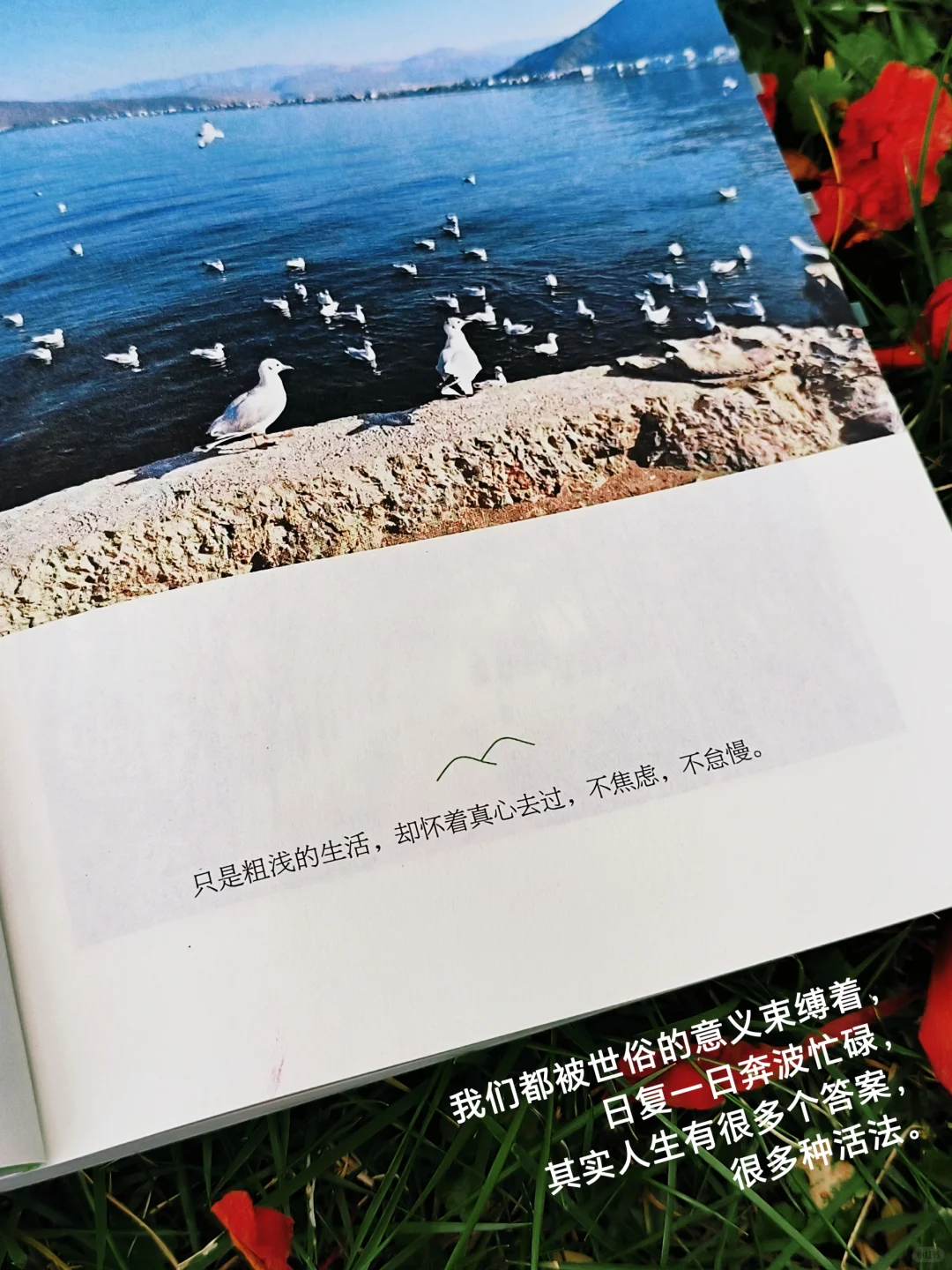人生是旷野，“去爱，去生活，去受伤”