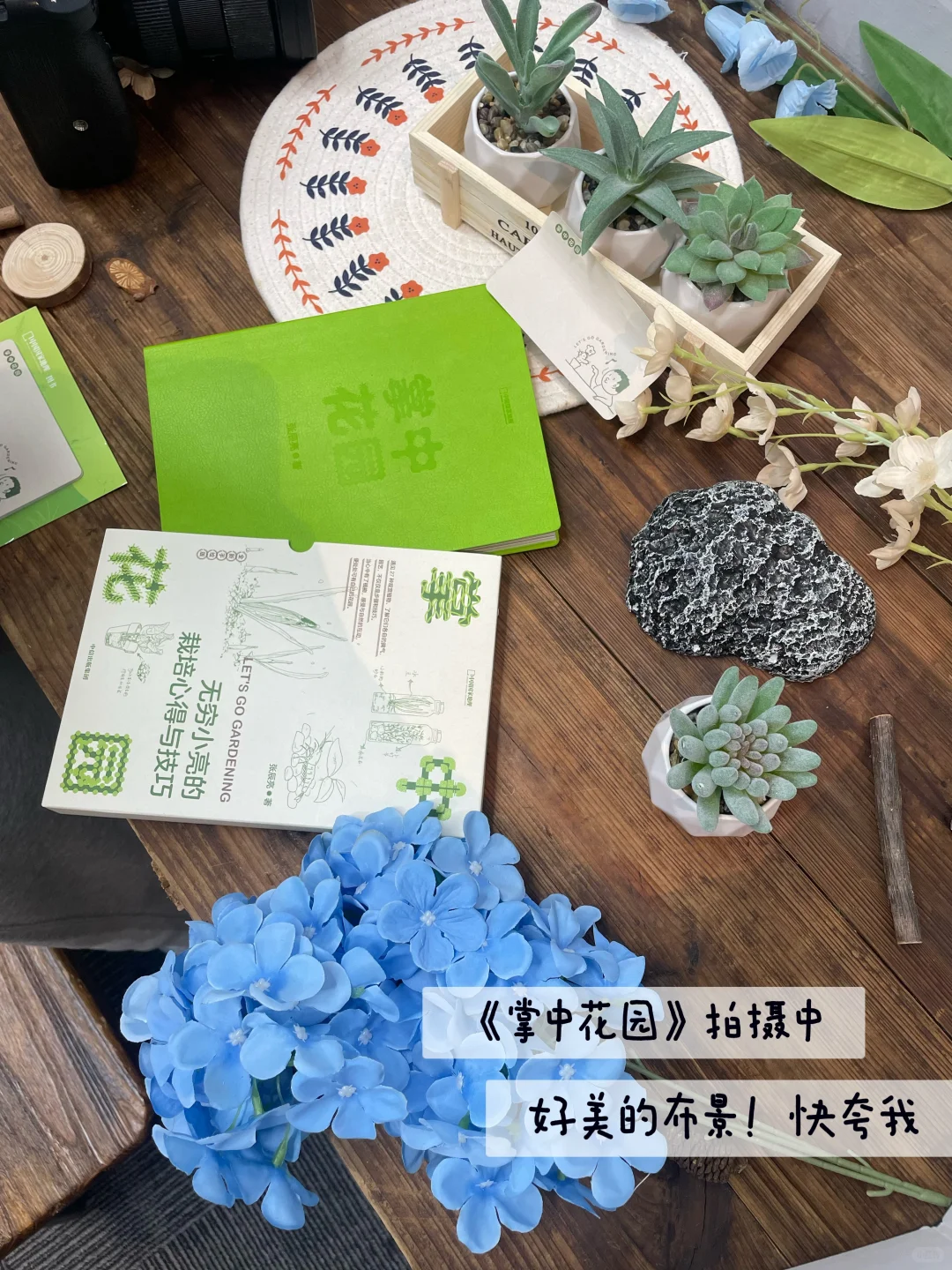 编辑部日常 | 忙碌中进入放假倒计时⏱