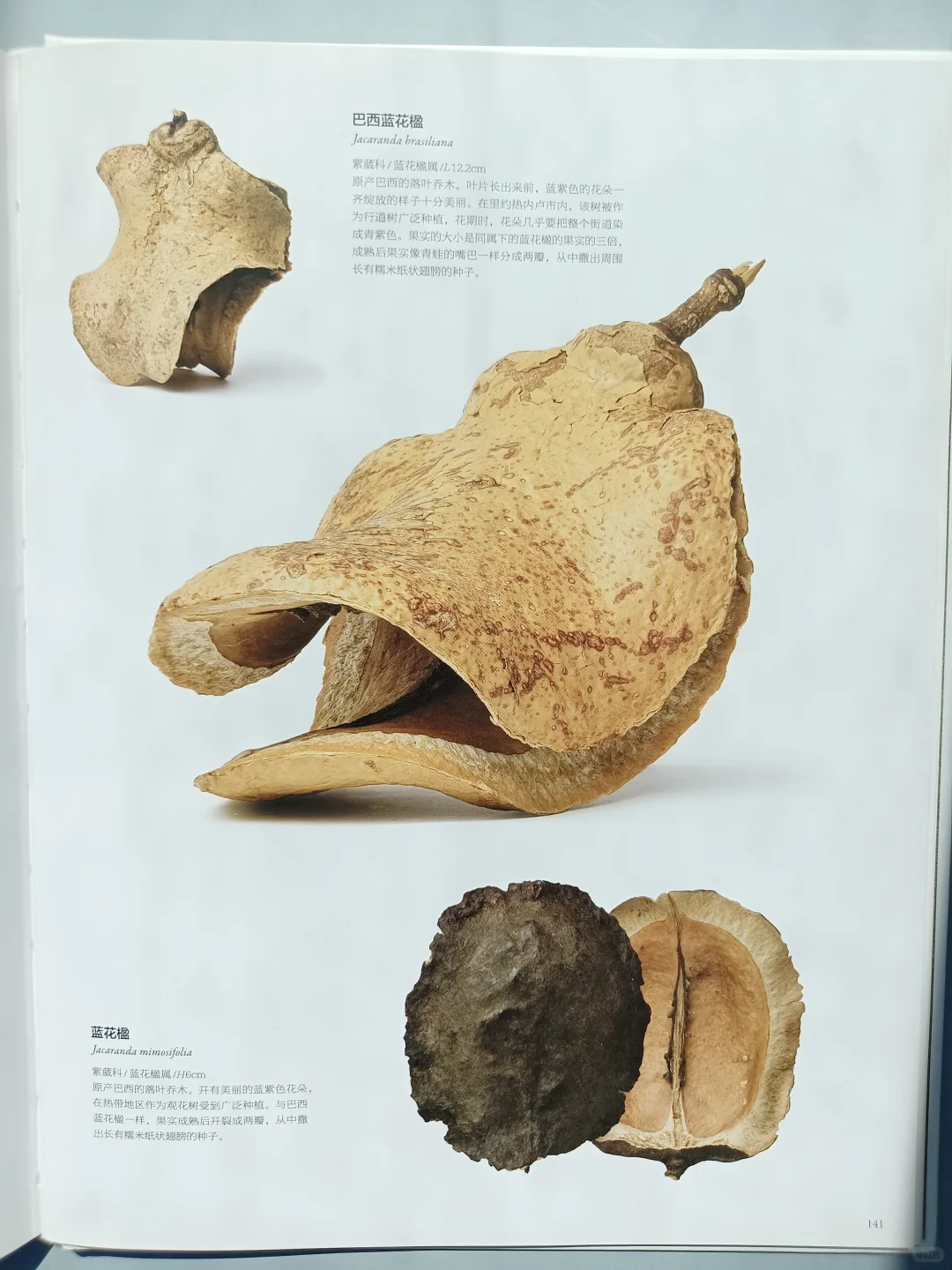 一本震撼人心的视觉图鉴✨✨