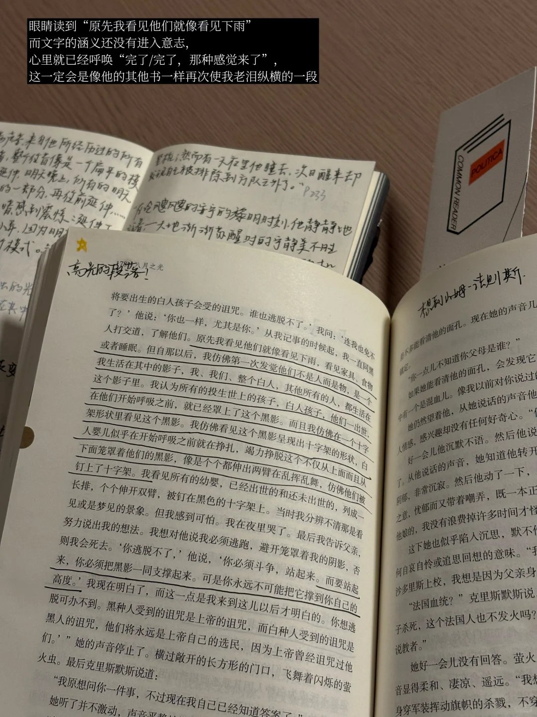 一旦阅读福克纳就会进入疯狂的心流模式