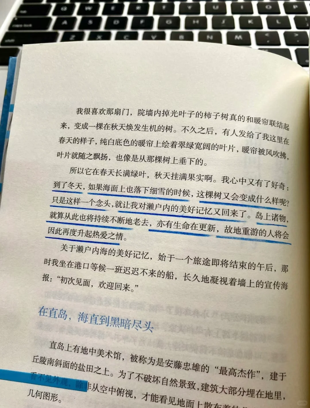 “自由也许是我不想拥有海，我想成为海”