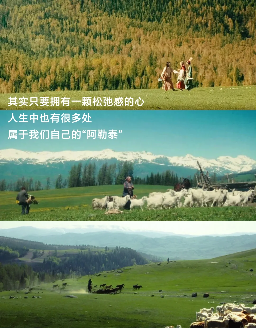 人生是旷野，“去爱，去生活，去受伤”
