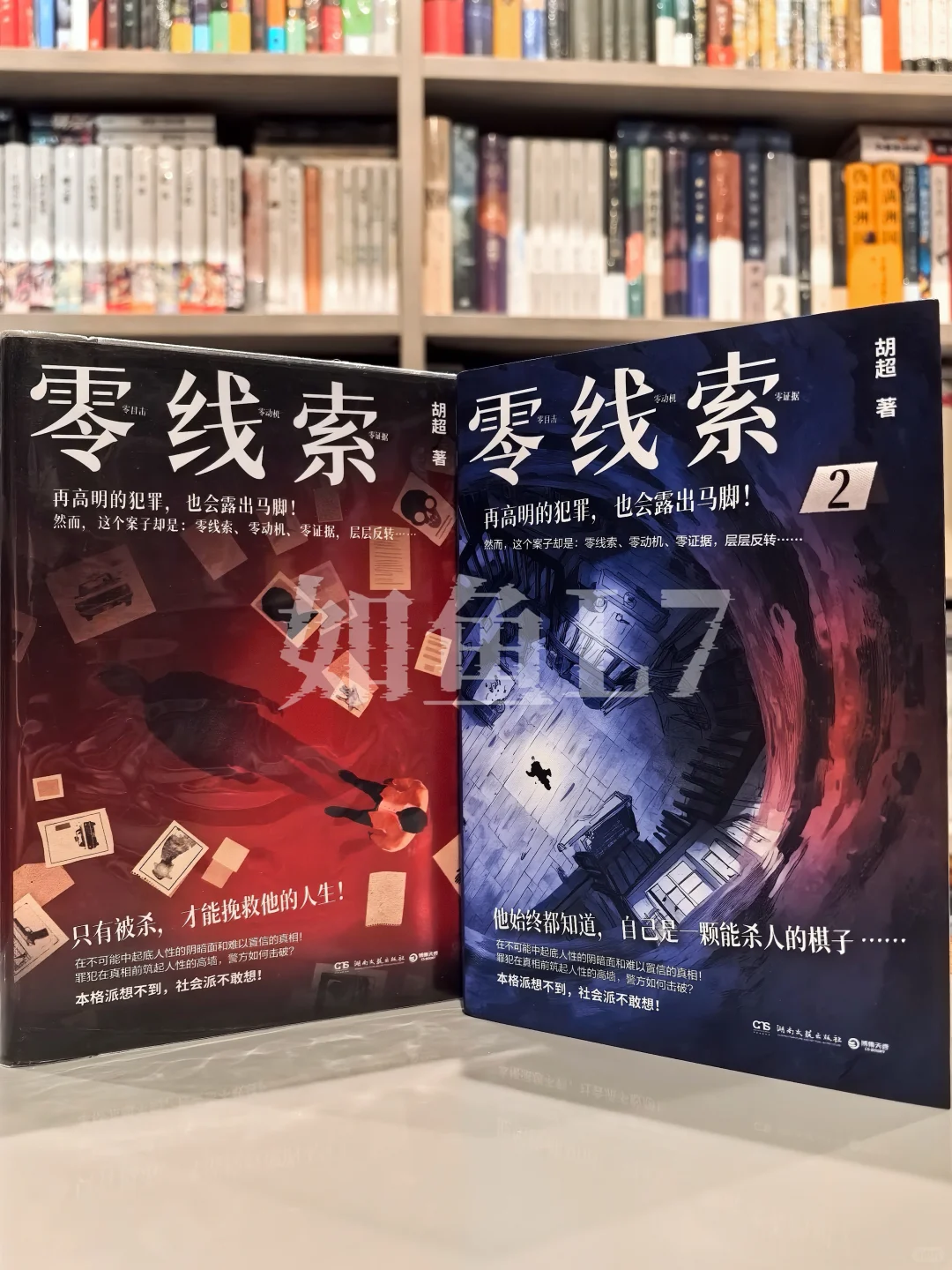 2025年8~9月鱼叔新购国产悬疑新书11册