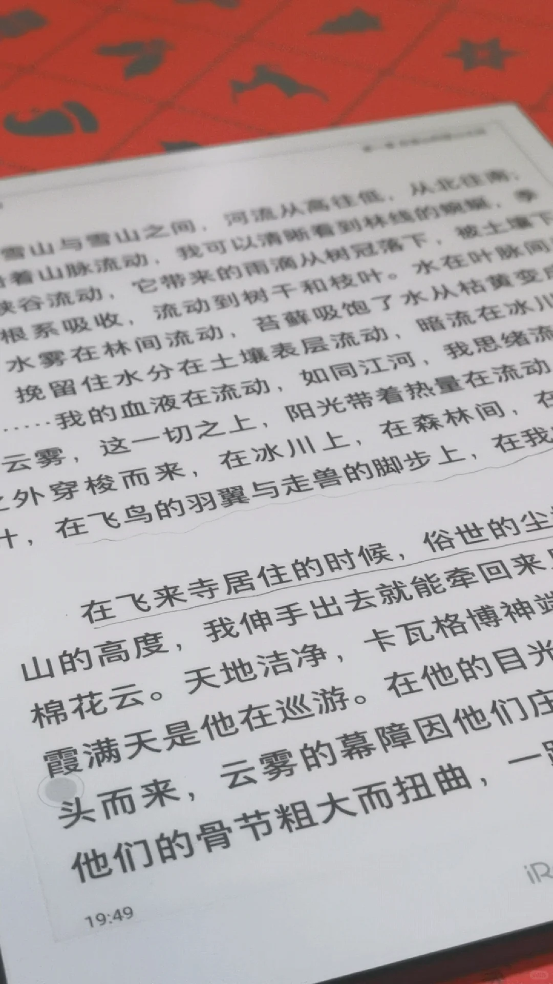 就是有没有人懂啊…今年买的最值的单品