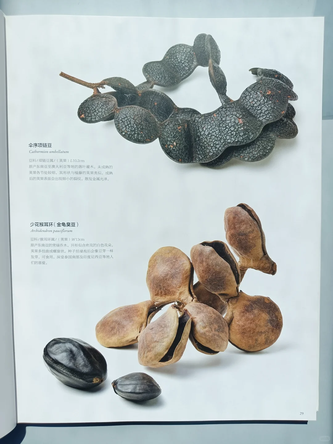 一本震撼人心的视觉图鉴✨✨