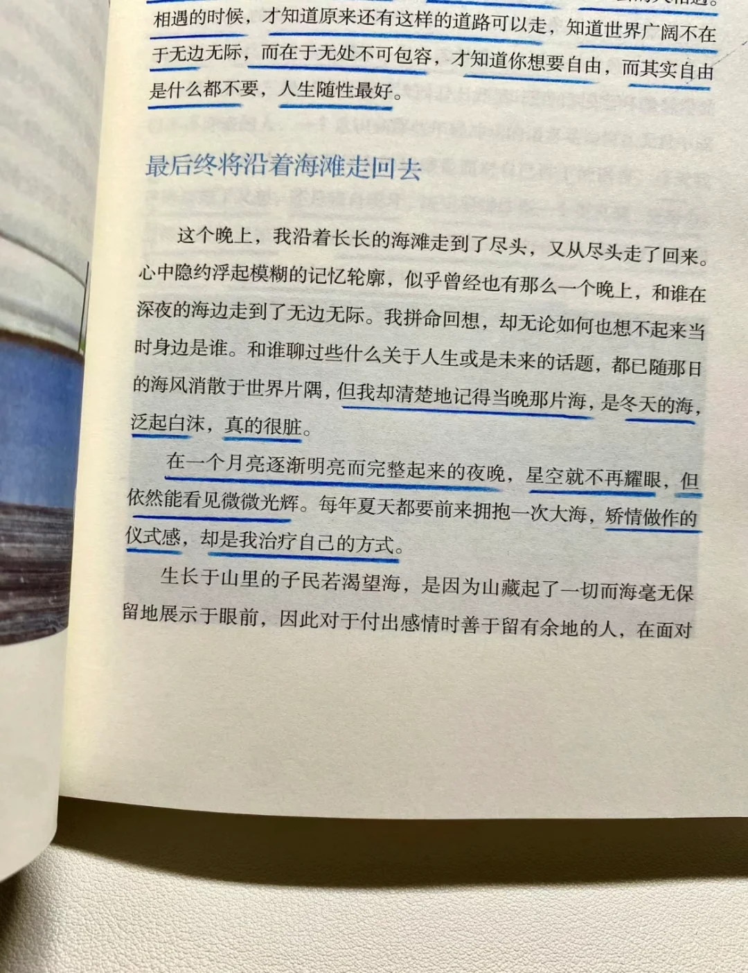 “自由也许是我不想拥有海，我想成为海”