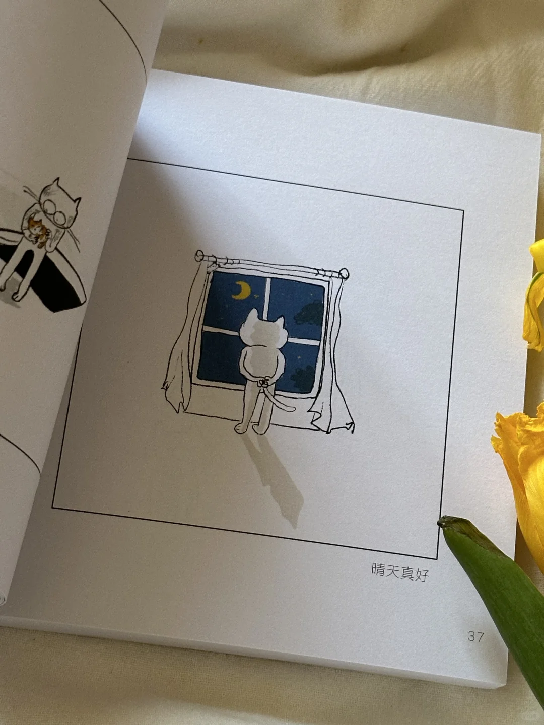 深夜破防了😭这本书真的又丧又治愈！